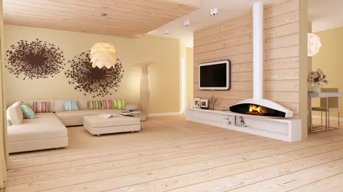 home project Z207 D – interior arrangement, Parterowy dom z funkcjonalnym wnętrzem, wykuszem oraz z garażem na 2 auta