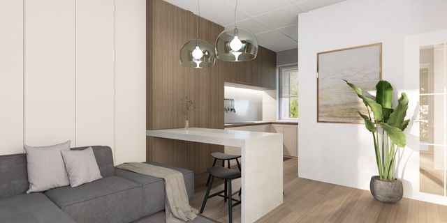 gotowy projekt domu Z451 – aranżacja wnętrz, Prosty, mały dom o powierzchni 51 m2 z dachem 2-spadowym, 2 pokojami i salonem