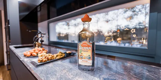 gotowy projekt domu Z496 – aranżacja wnętrz, Dom z poddaszem użytkowym, garażem oraz dużym tarasem na piętrze.