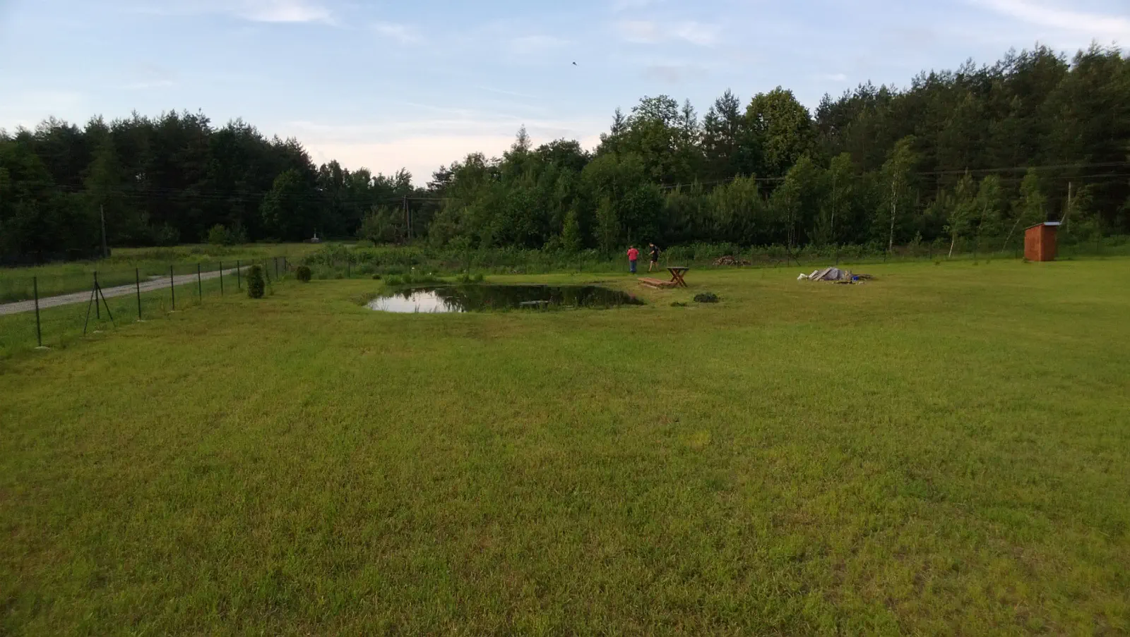 Z16 - domek pod lasem