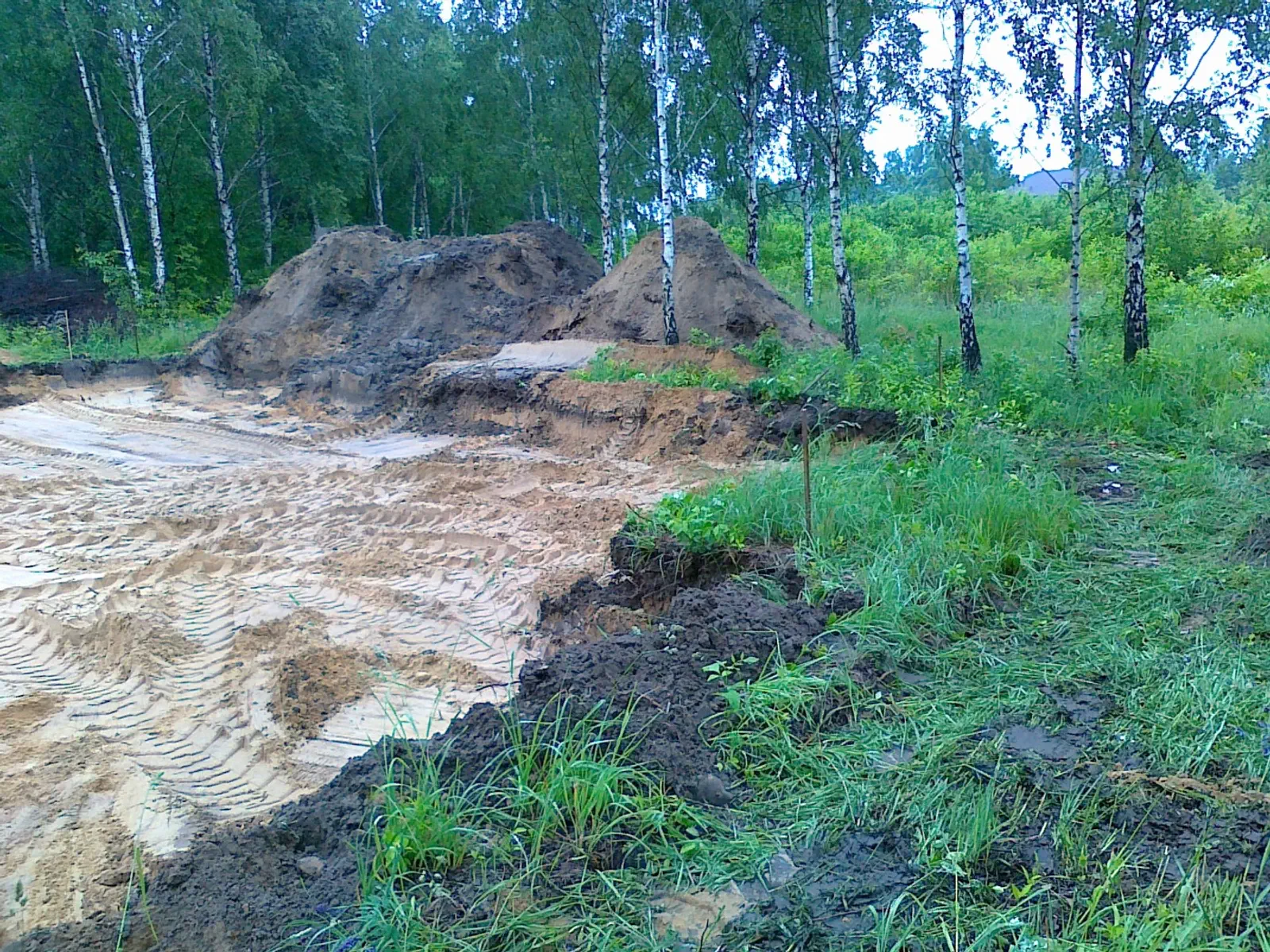 Budowa Krysi i Grzegorza