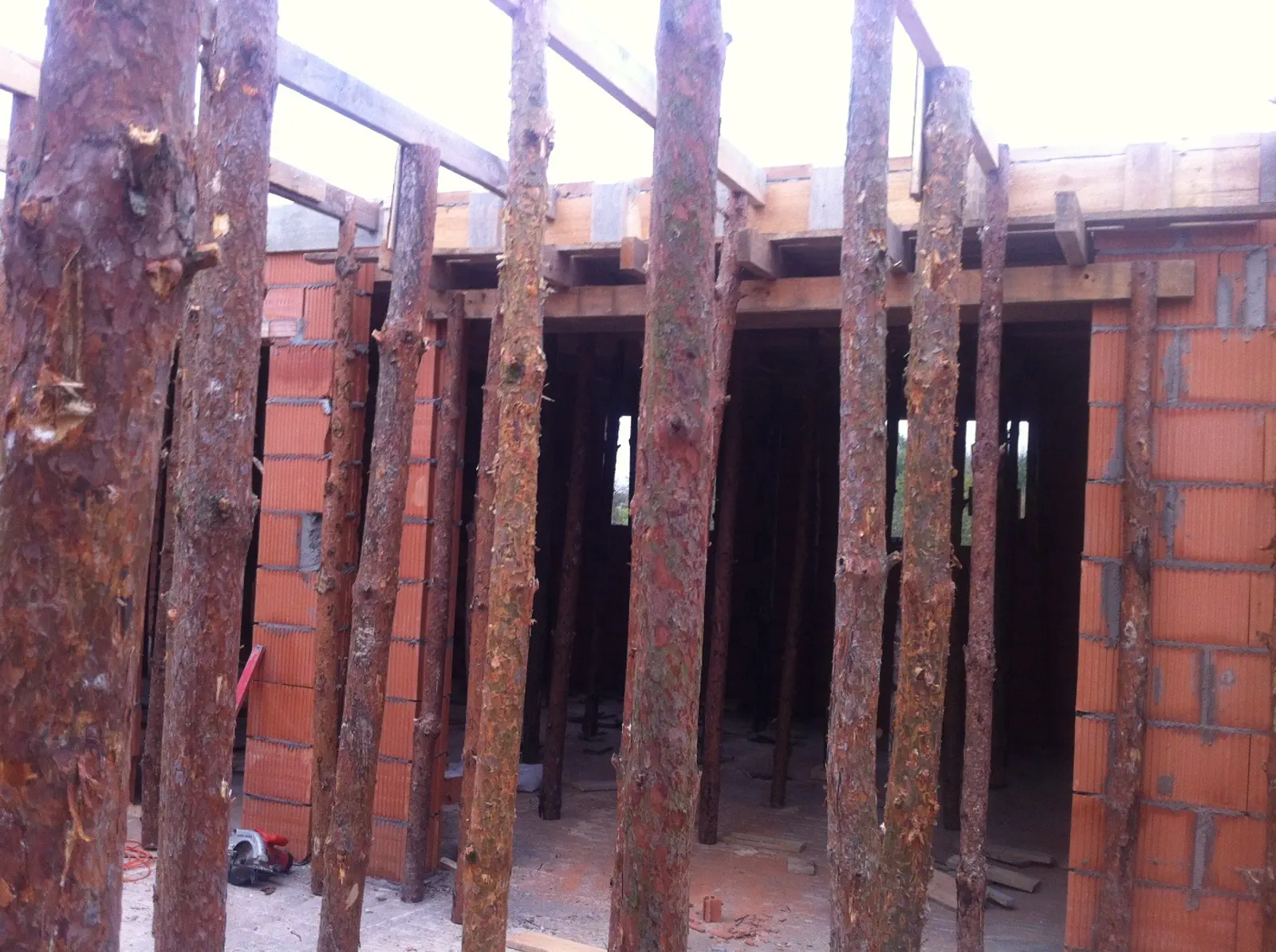 Budowa Basi i Seby oraz Ali i