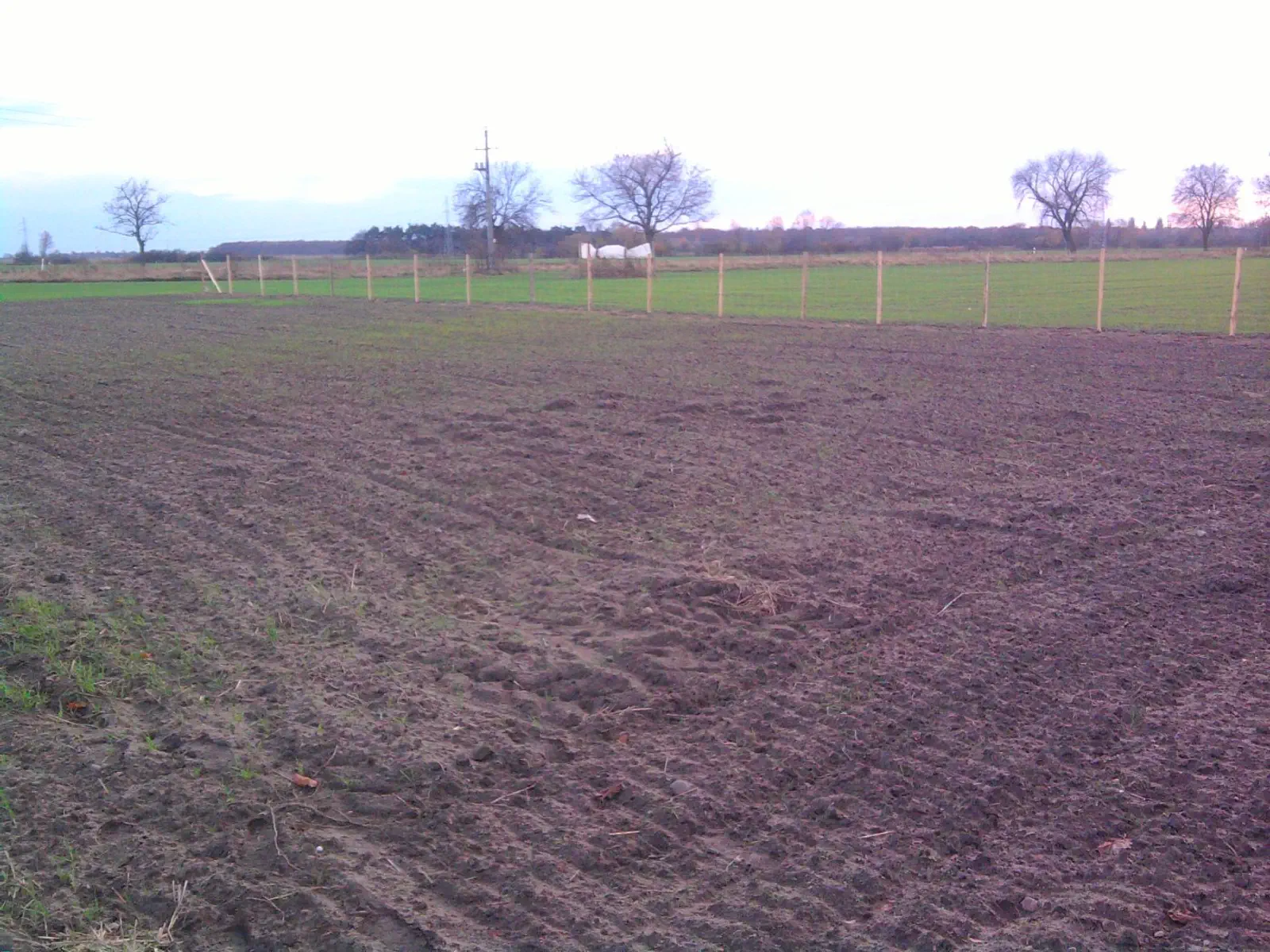 Budowa Agi i Andrzeja