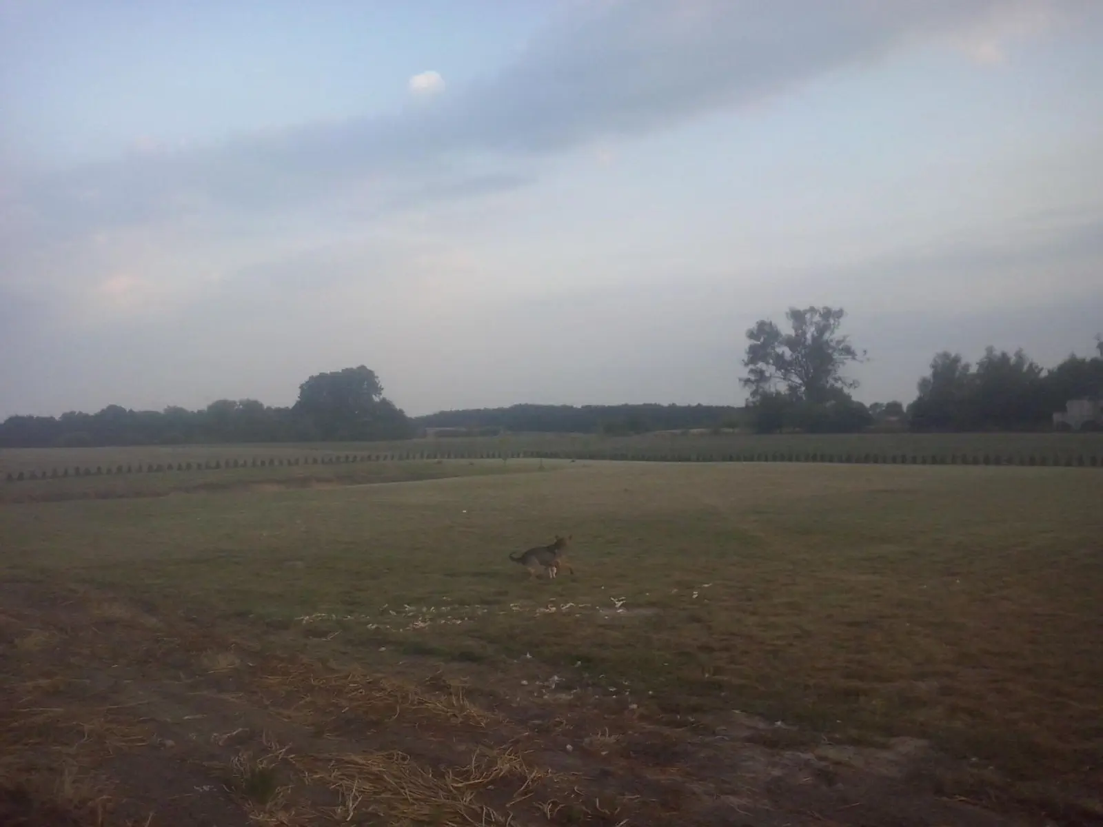 BUDOWA ANGELIKI I KRZYSZTOFA