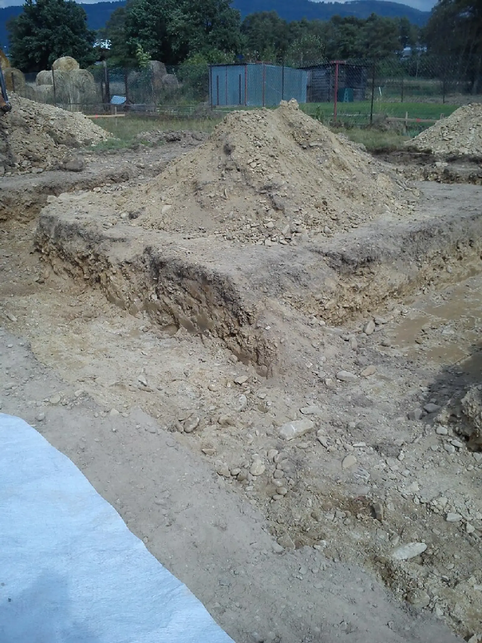 Budowa darka i marty