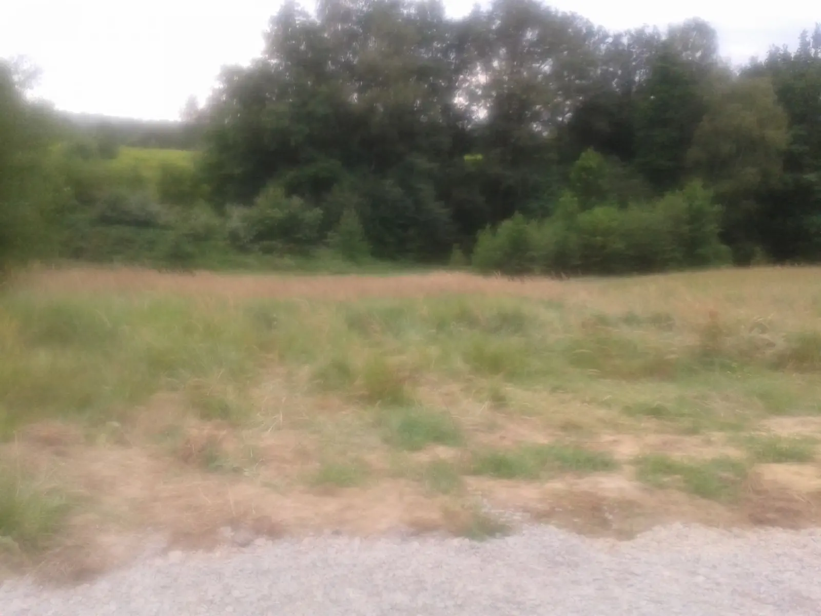 Budowa Jagody i Marcina