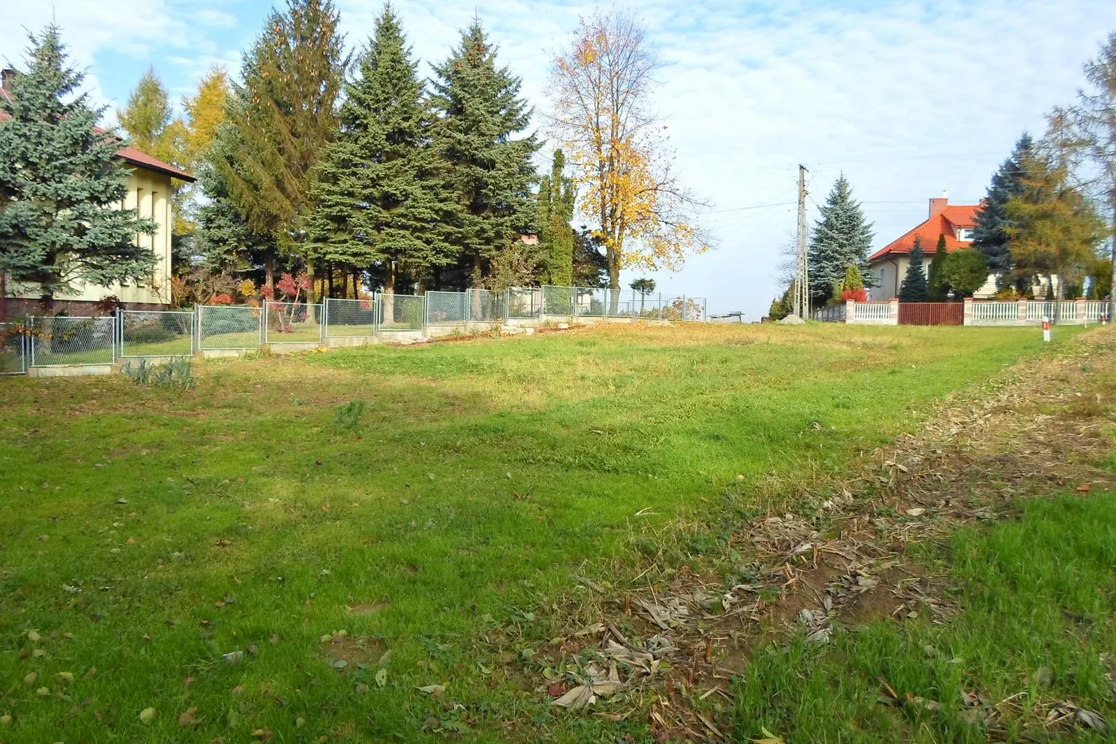 Budowa Moniki i Piotrka