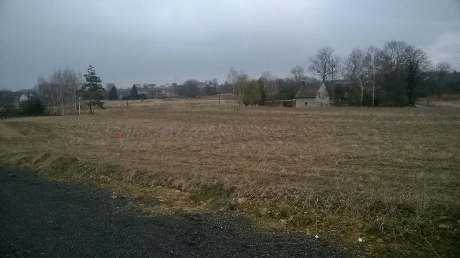 Z187 Moniki i Sebastiana