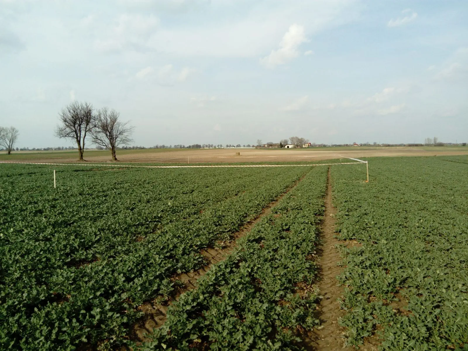 Aga_Łukasz_Marcin_Jula