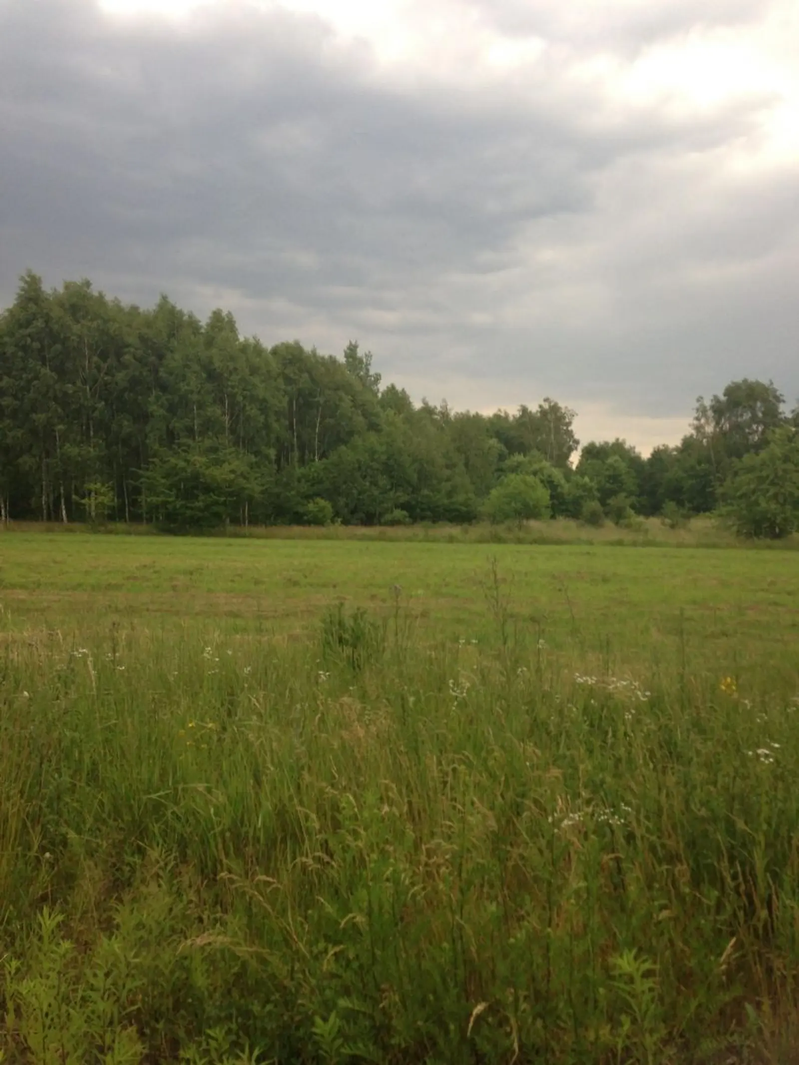 Budowa Asi i Błażeja