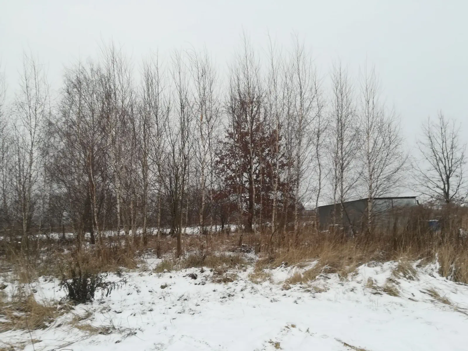 Z241 GP Ewy i Bartosza