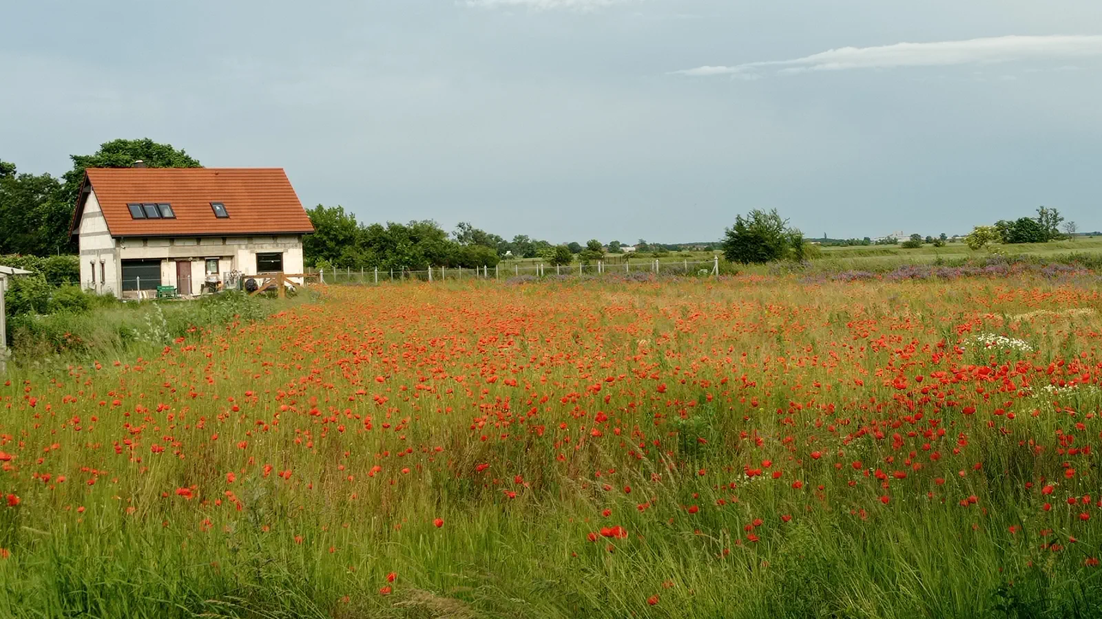 Budowa Asi i Sławka