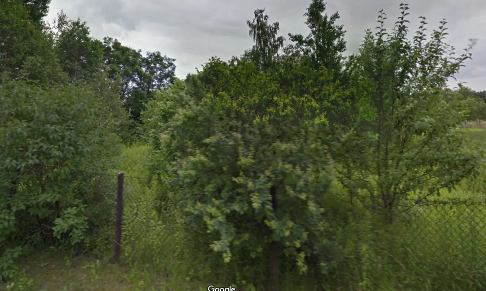 Budowa Artura i Sylwii