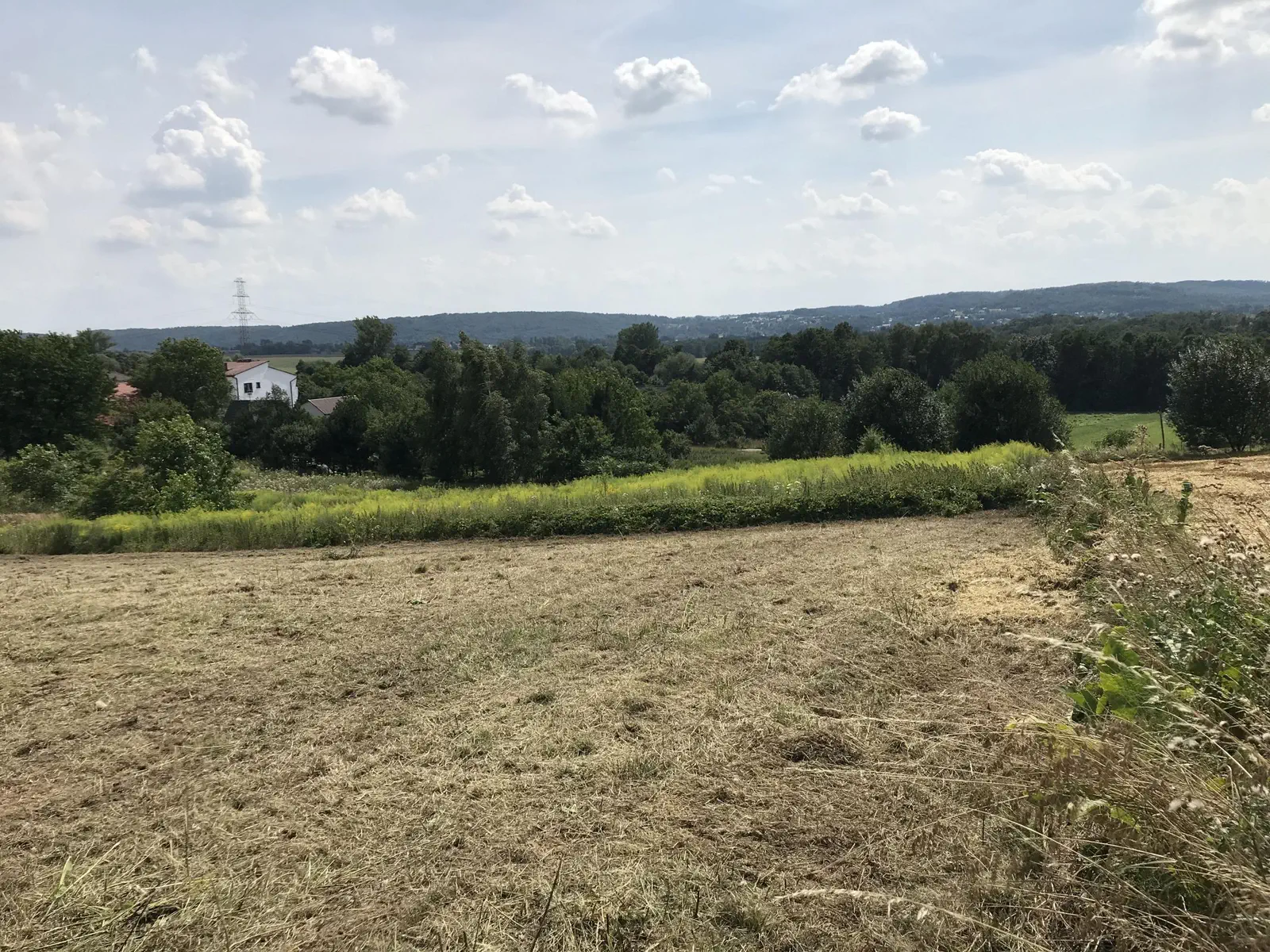 Z177+ Dariusz i Magdalena 