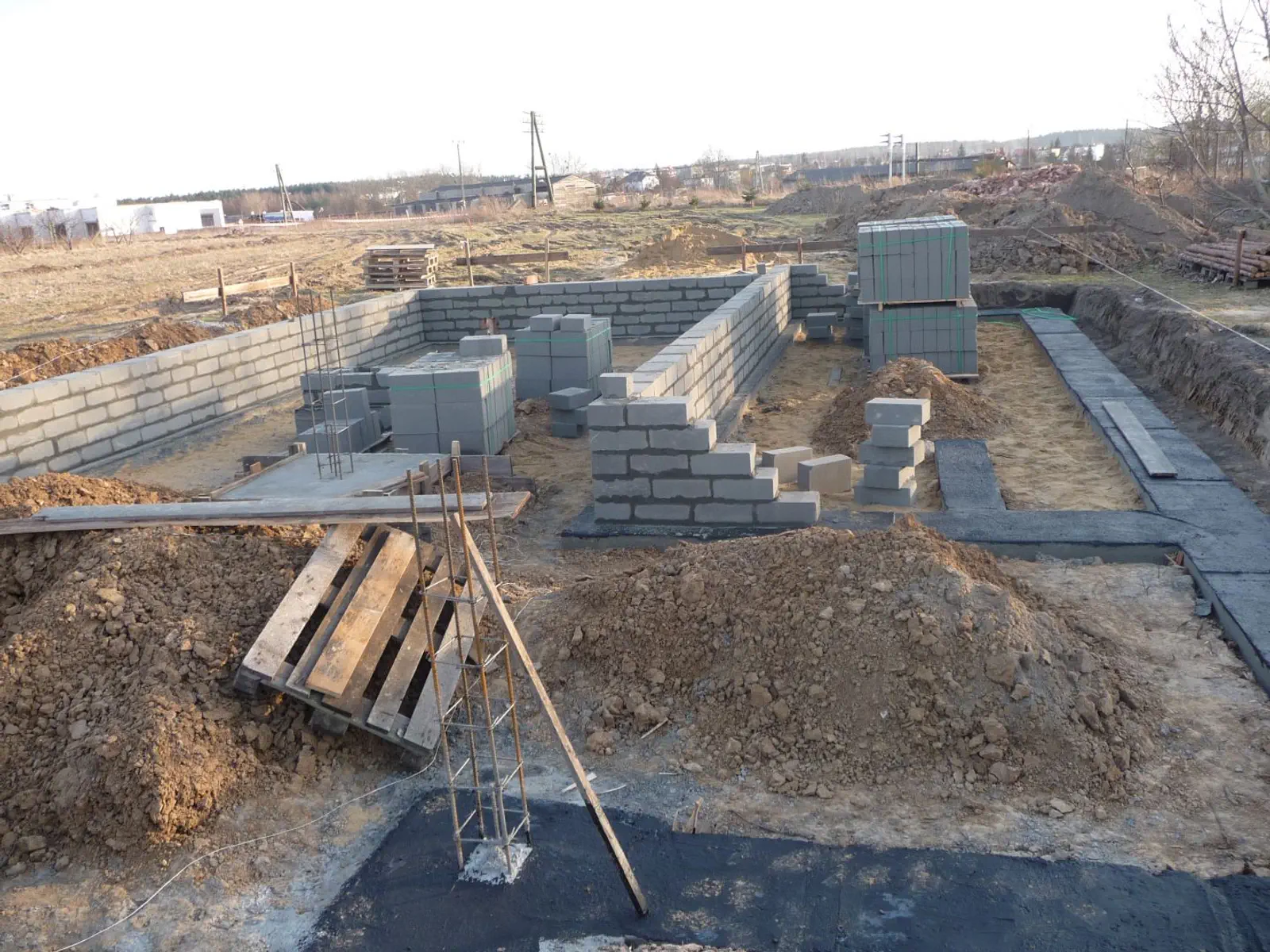 budowa Agi i Damiana