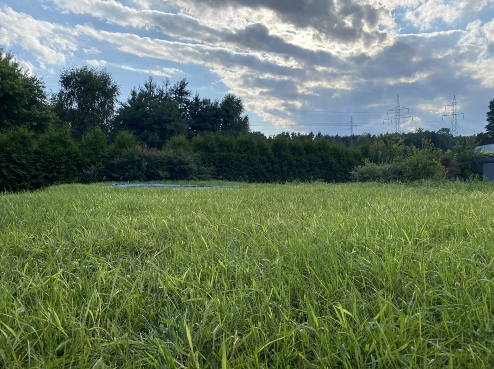 Budowa Sylwii i Damiana