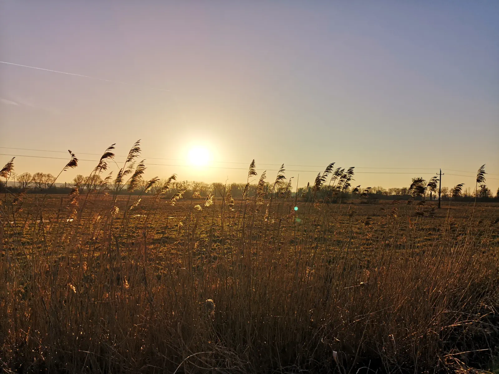 Nasza Wymarzona Parterówka