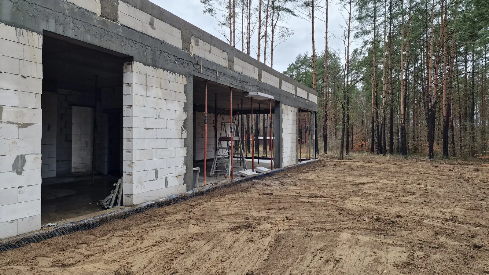 Budowa ZX88 na skraju lasu