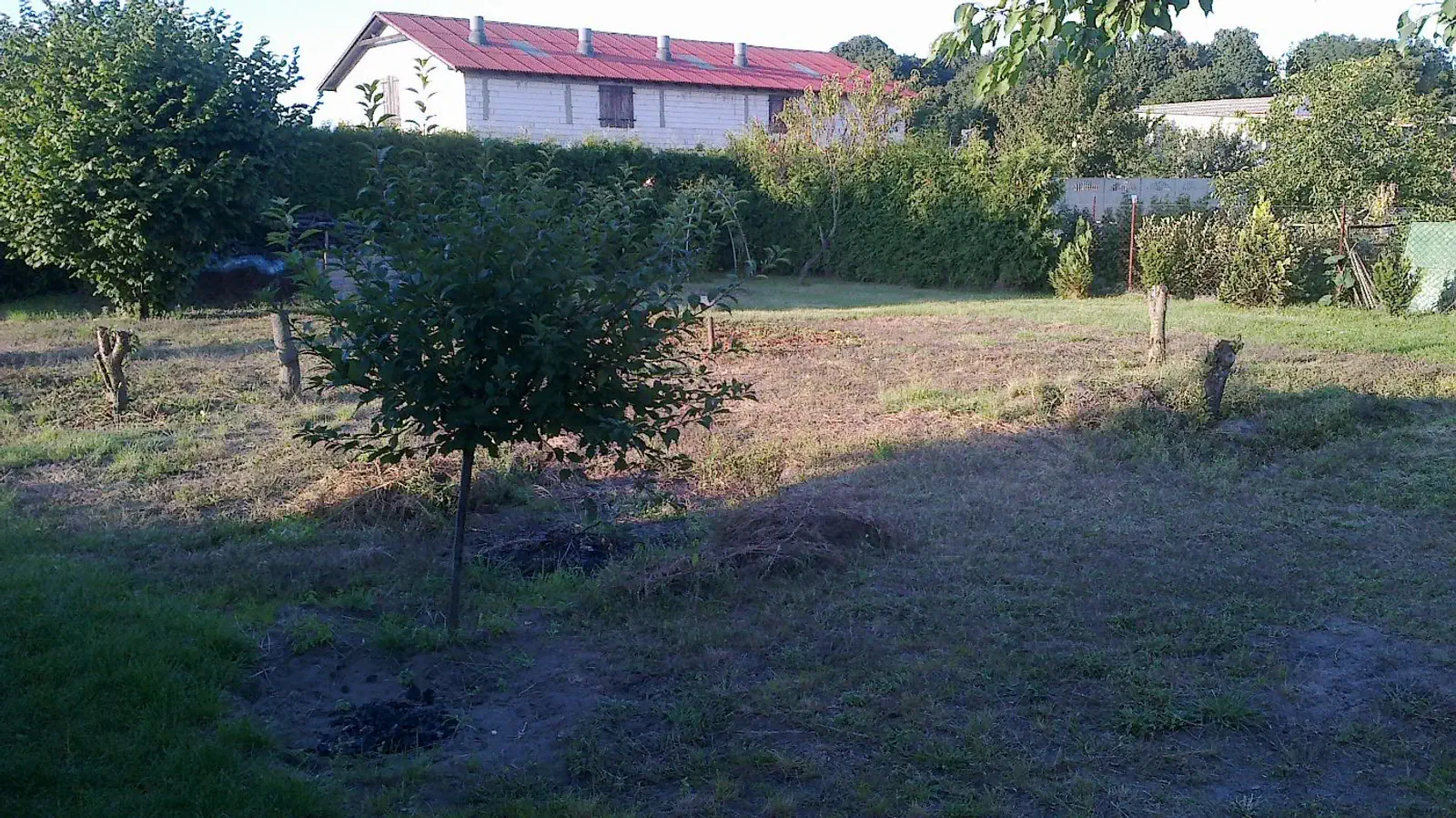 BUDOWA PALI,ŁUKASZA I OLIWKI