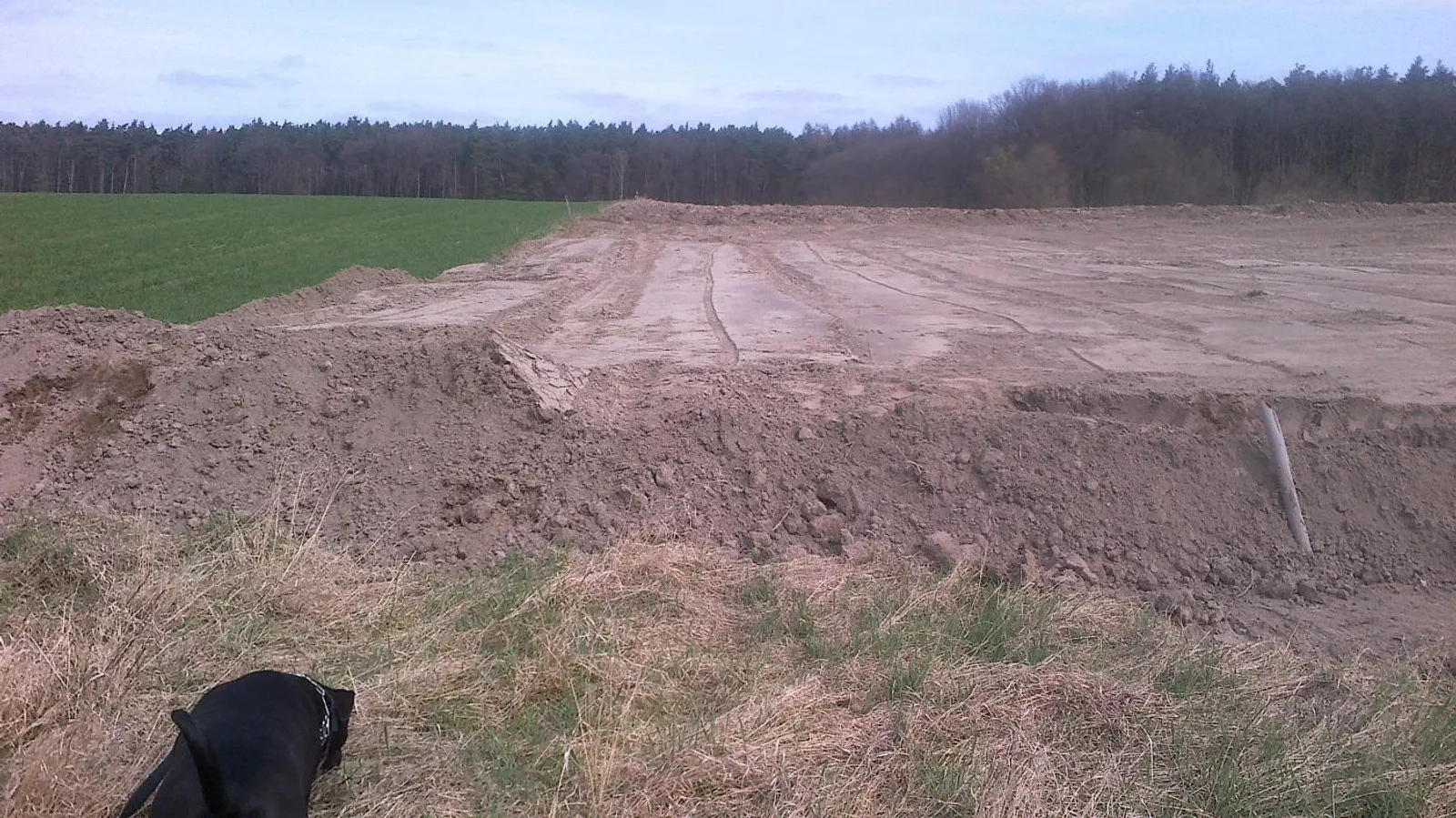 Budowa Agi i Macieja