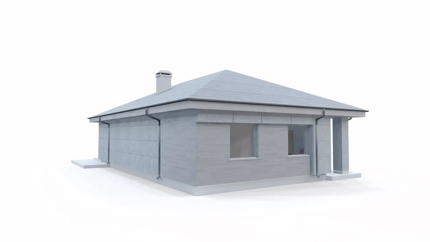 Namo projektas  - Modernus vienaukštis namas