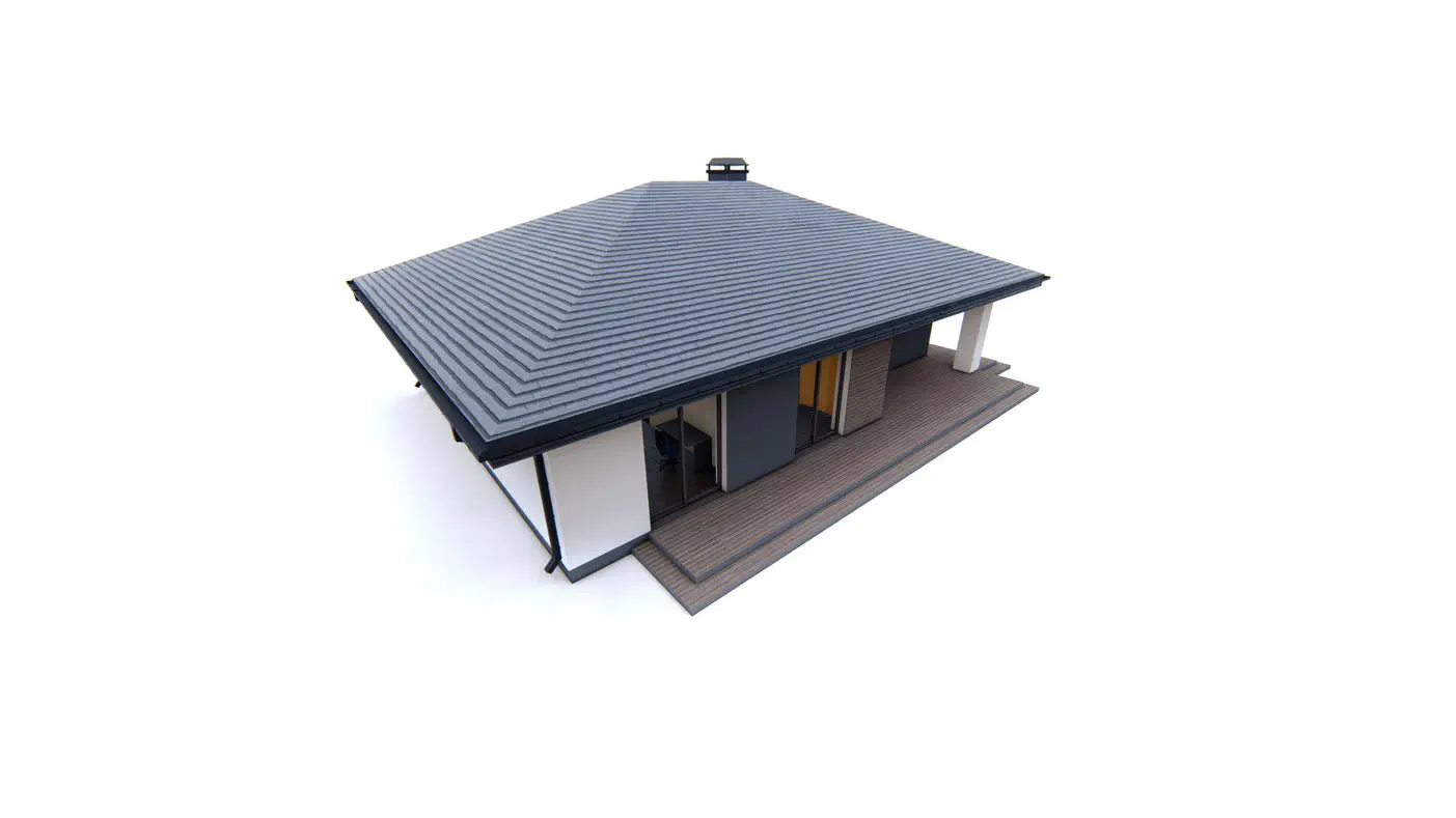 Namo projektas  - Vienaukštis erdvus namas