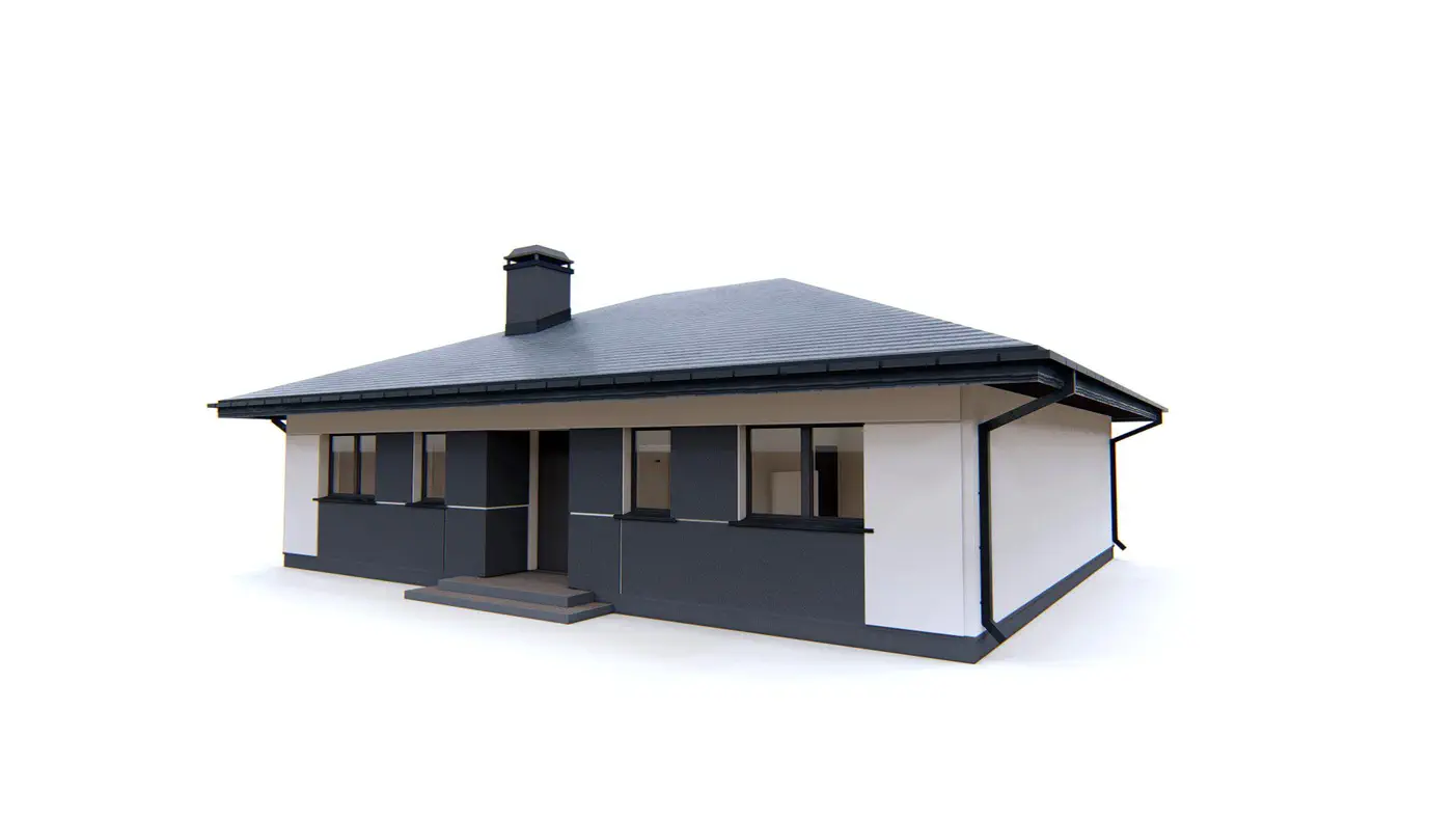 Namo projektas  - Vienaukštis erdvus namas