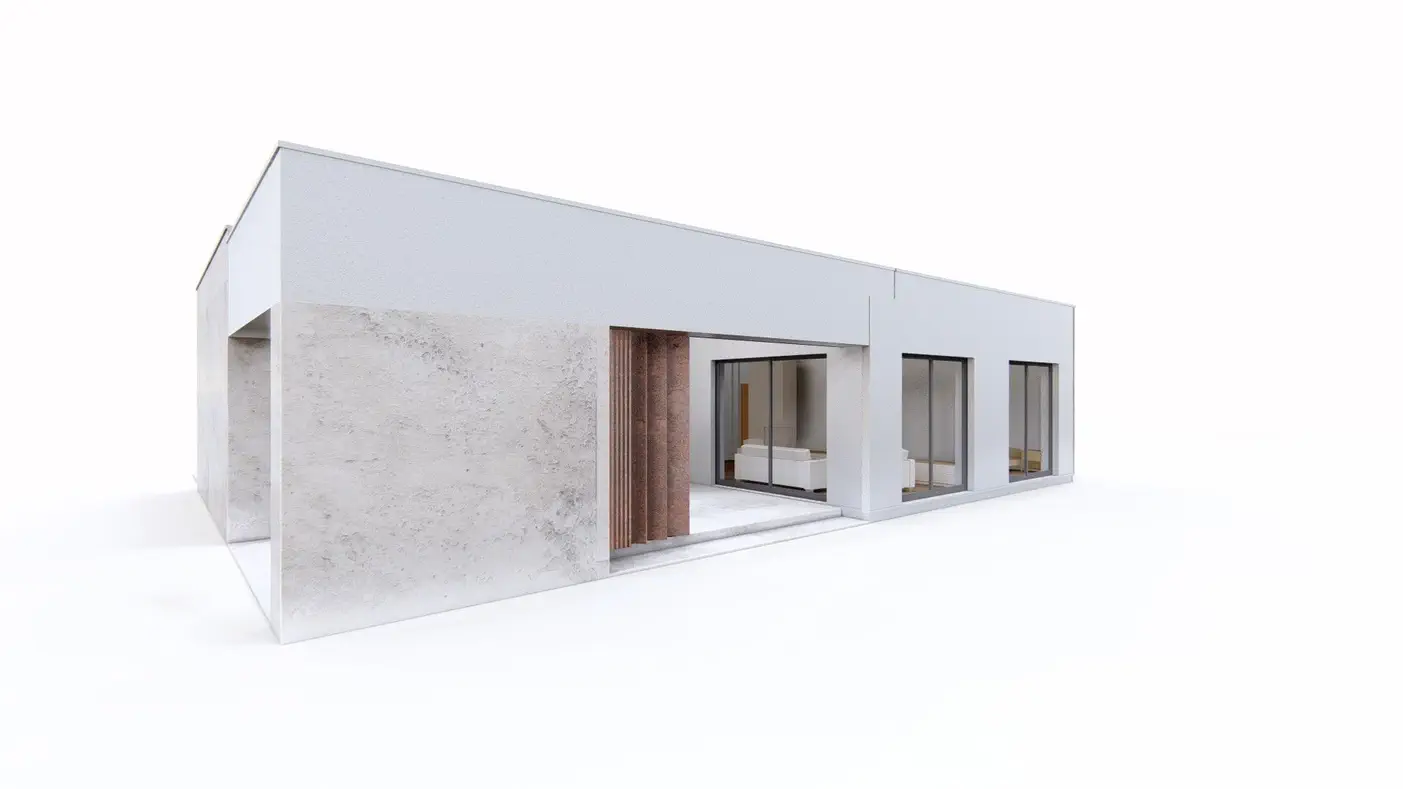 Mājas projekts  - Mūsdienīga vienstāva māja ar plašu terasi - Zx208.