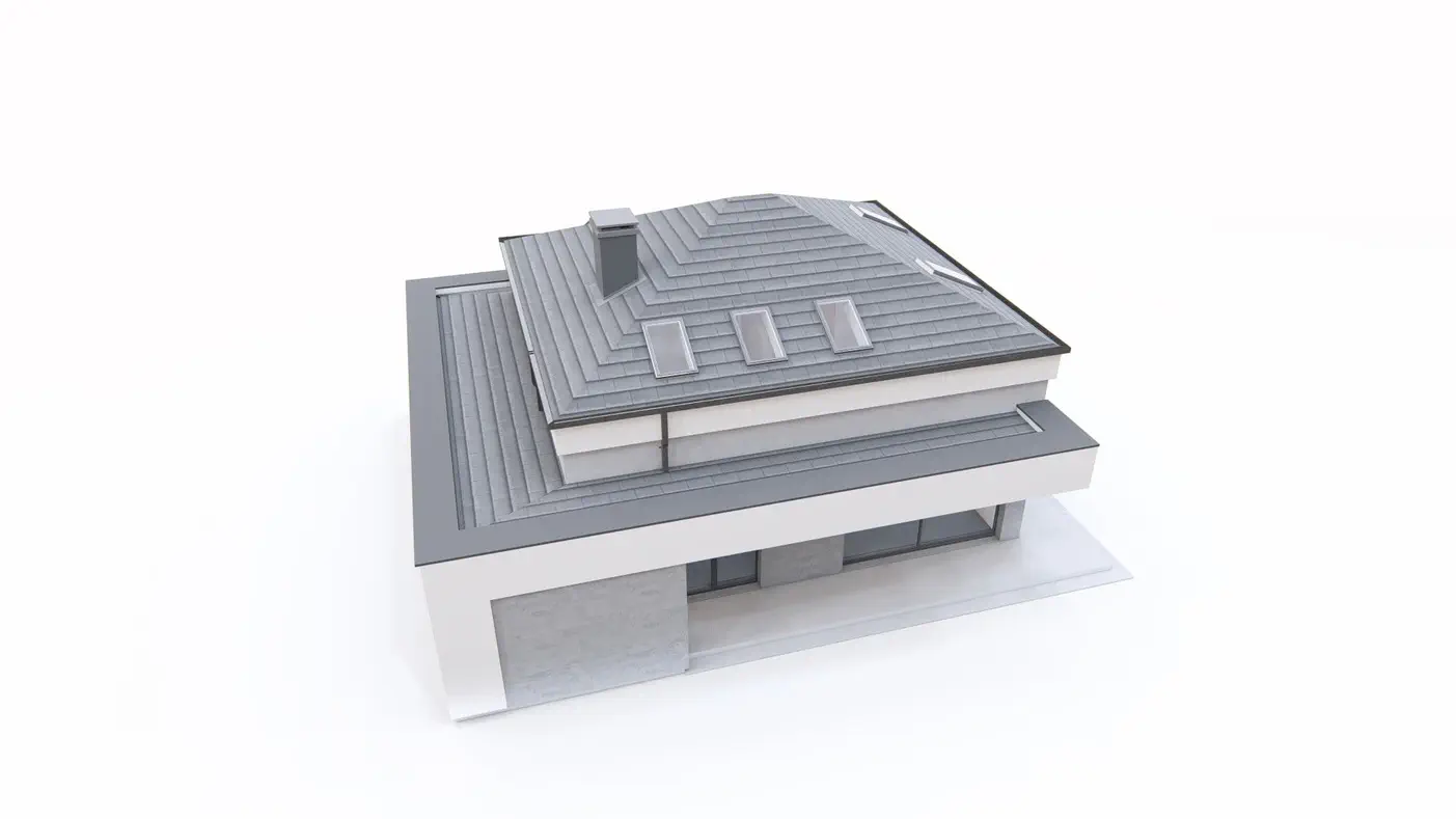 Mājas projekts  - Mājas projekts ar garāžu un biroju - Z495