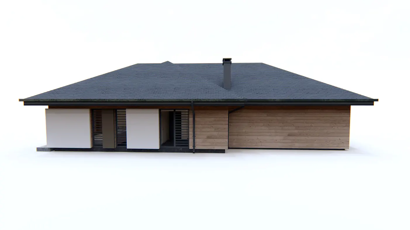 Home project  - A one-story house with a garage and a living room from the south