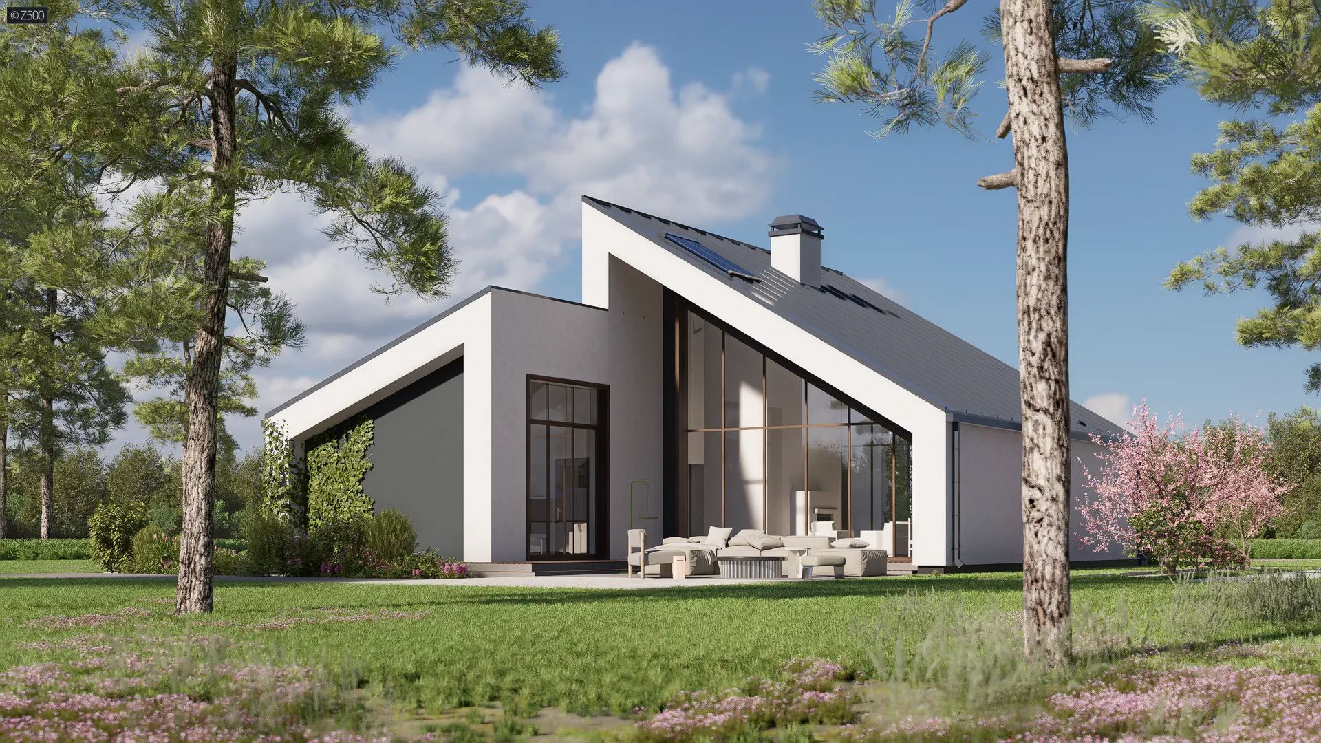 Projekt domu Zx201 D