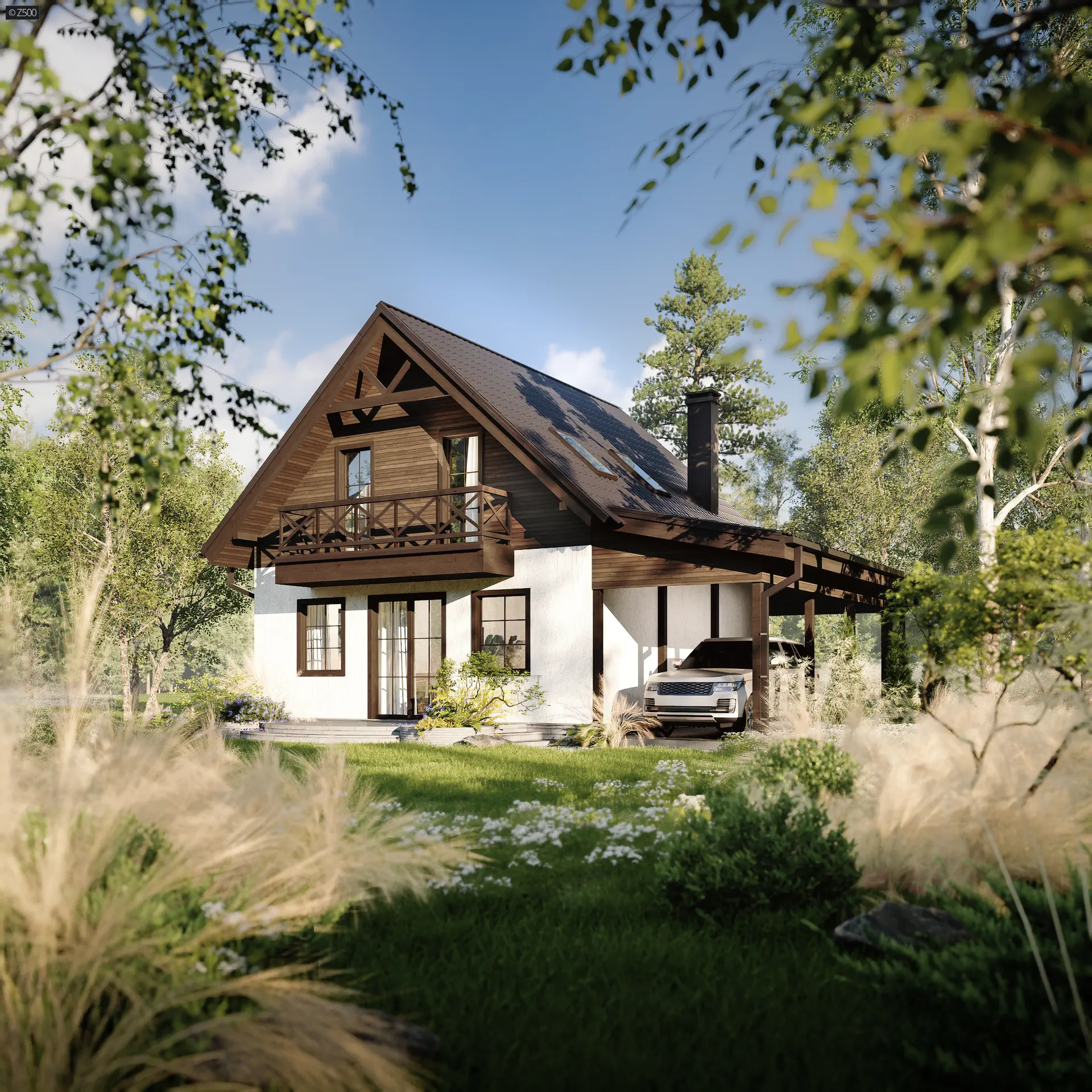 Projekt domu Z1 D WL