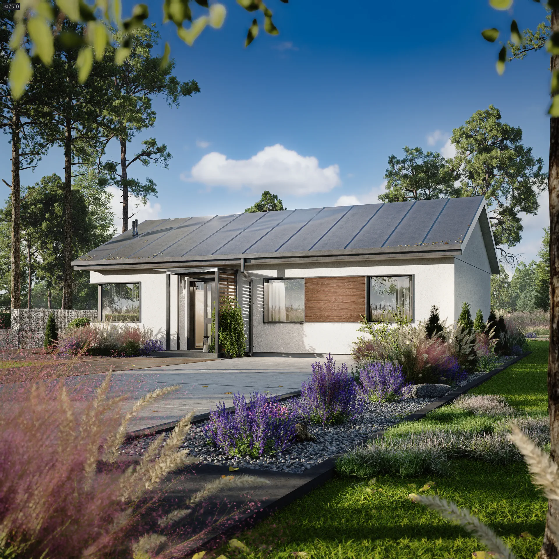 Projekt domu Z537