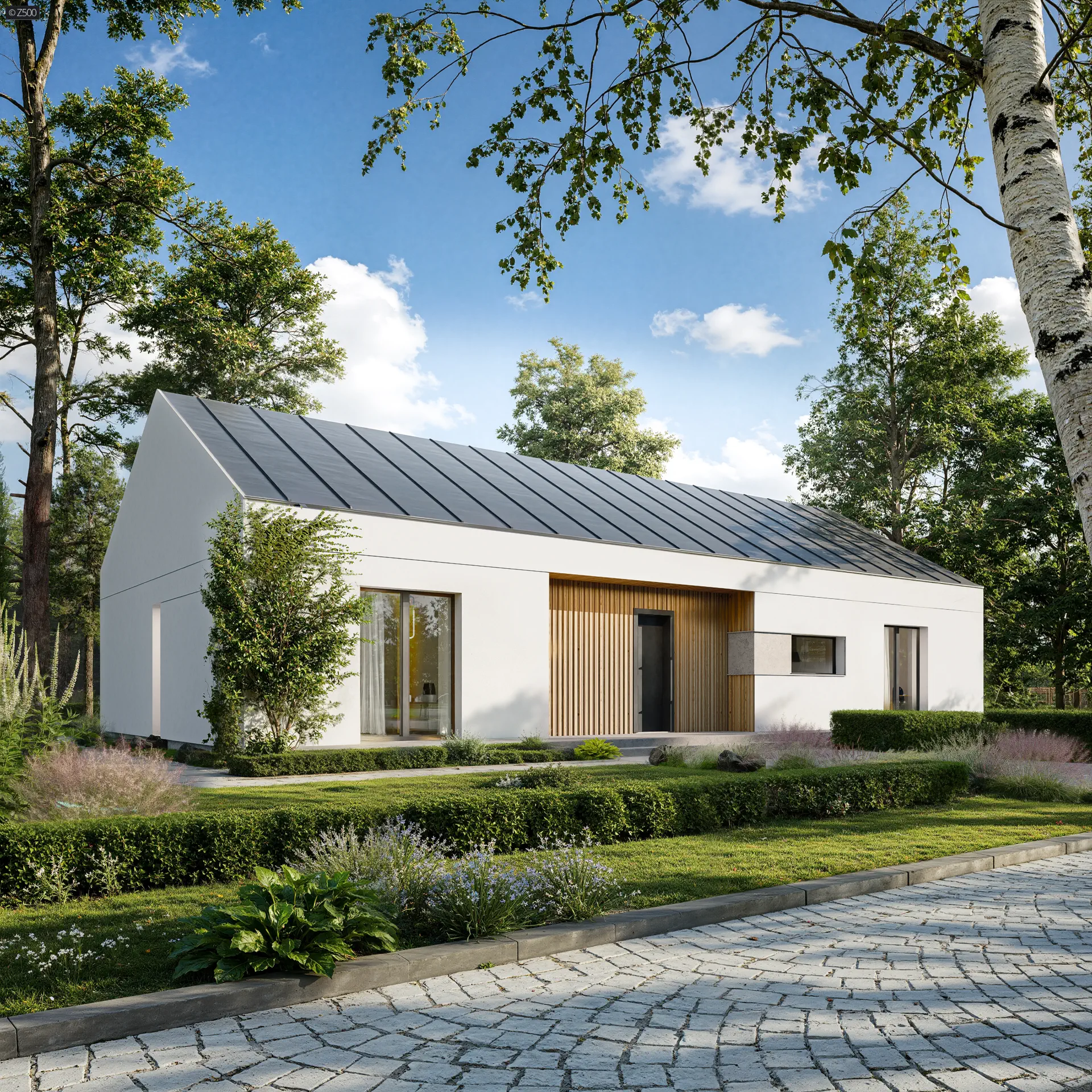Projekt domu Z577
